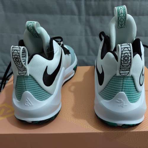 Nike Zoom Freak 3 EP 白綠 US 9.5