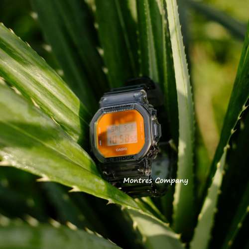 Montres Company 香港註冊公司 (33年老店) 卡西歐 CASIO G-SHOCK DW-5600TLS-8DR ...
