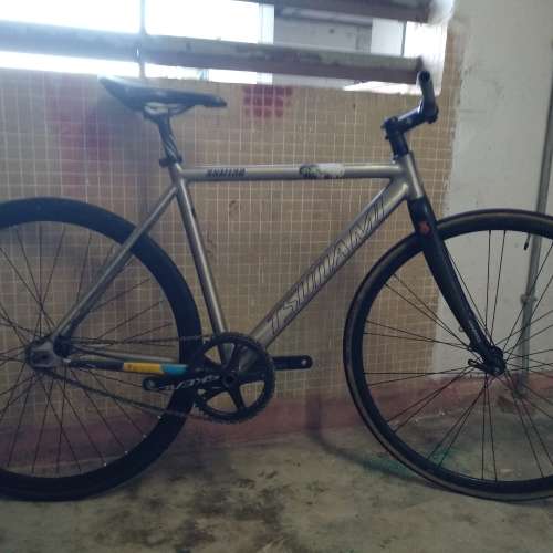Fixed gear