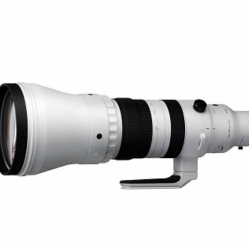 sigma300mm-600mm f4鏡頭