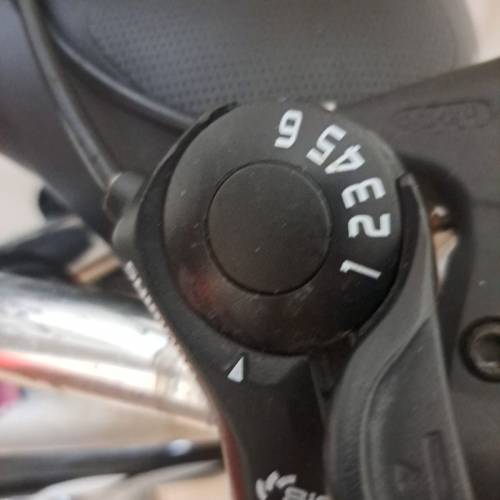 Dahon-D6