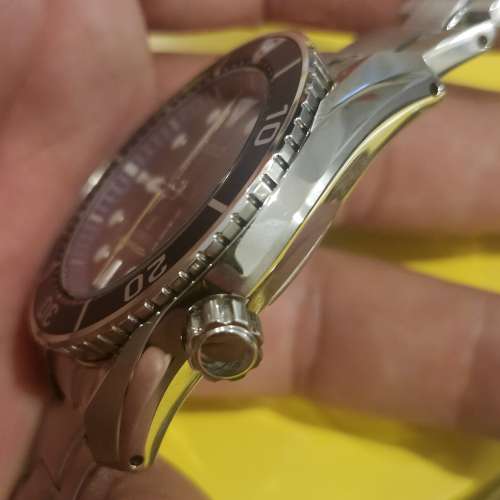 Seiko Prospex Japan Collection 2020 Limited Edition (SBDC113),限量1000隻，急走價