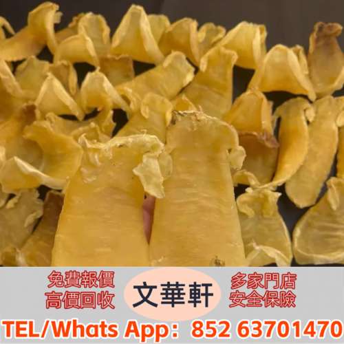 【文華軒】 高價回收：鳘魚膠，北海母，金錢膠，台山赤嘴，湛江赤嘴，紅雞赤嘴，陽...