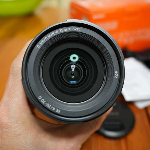 Sony 20-70 f4G