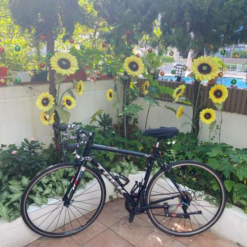 TREK Road Bike One Series 700 公路車