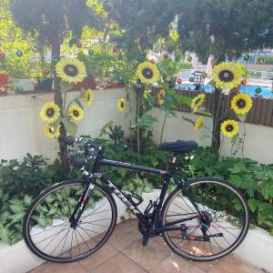 TREK Road Bike One Series 700 公路車