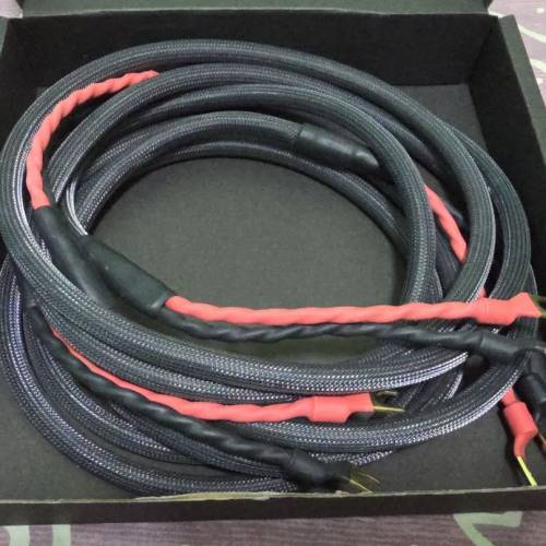 Audiomica Diamond Transparent speaker cable 叉去叉
