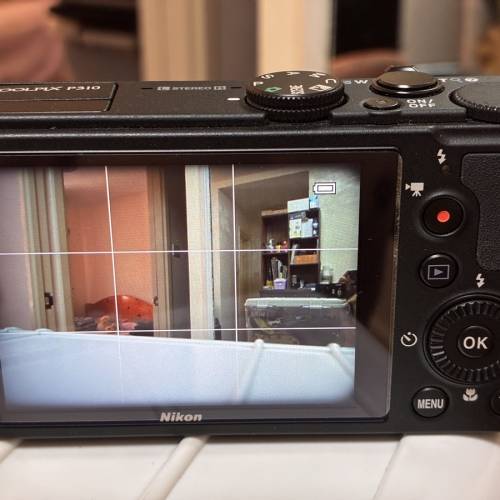 Nikon Coolpix P310 （16.1 mega pixel )