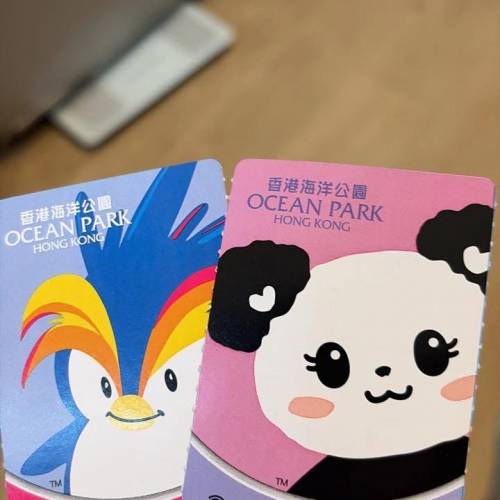 成人海洋公園成人飛