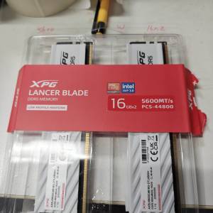 ADATA XPG LANCER BLADE DDR5 5600 32GB KIT (16GB X2) 白色