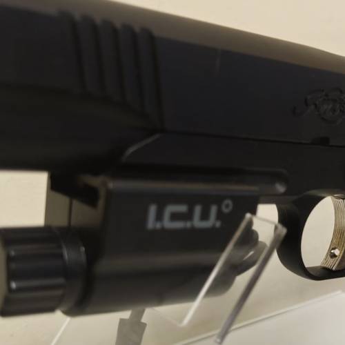 I.C.U. Rail cam