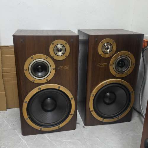 Diatone DS 1000喇叭，超强的分析力