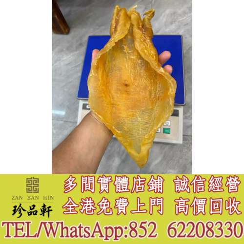 【珍品軒】實體門市 免費上門 高價回收：花膠，魚膠，魚肚，老花膠，陳年花膠，鰵魚...