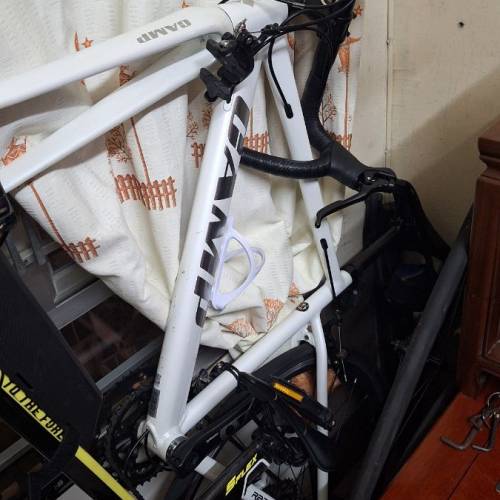 坎普CAMP RADON 公路車 Road Bike