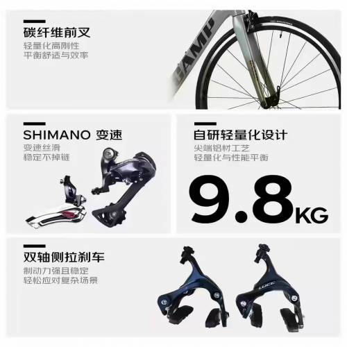坎普CAMP RADON 公路車 Road Bike
