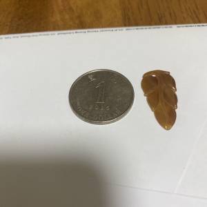 黃翡小葉子