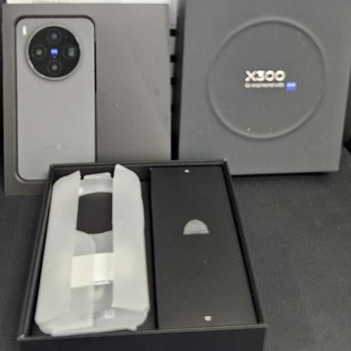 港版VIVO X300