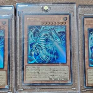 遊戲王 青眼白龍/藍眼白龍 勁/宿敵包