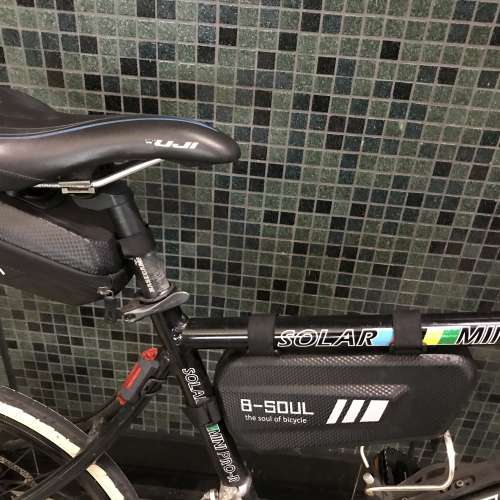 Solor mini Pro R 20寸 16速 小輪