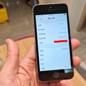Apple iPhone SE 32GB Silver 銀色 (電池發脹需要更換)