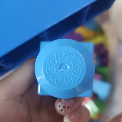 MEGA BLOKS 兒童積木(共202粒)