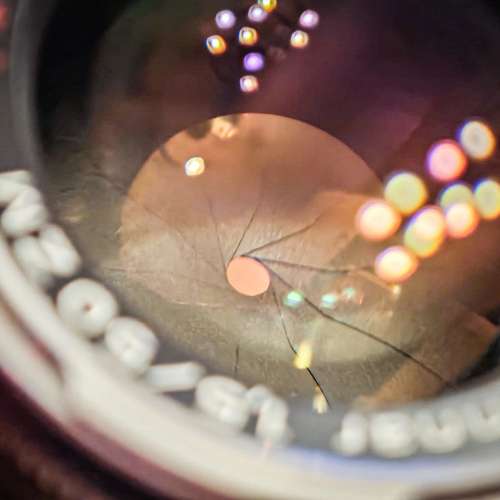 日版 蔡司 C Sonnar 1.5/50 ZM 鏡頭