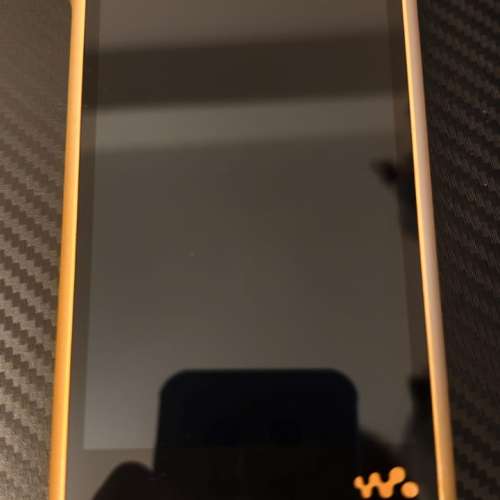 Sony NW-WM1ZM2
