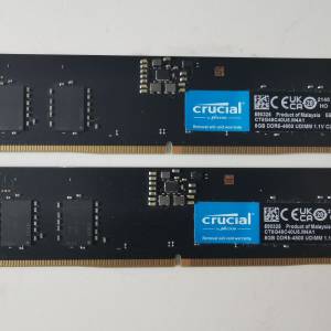 Crucial 8gb ddr5 4800mhz 一對