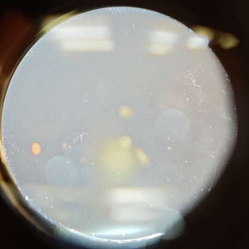 Edixagon 50/2 M42 Germany 罗顿斯德代工 50mm 50 請看實物圖 功能成像正常