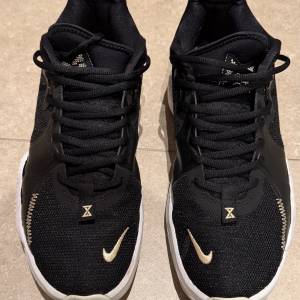 Nike PG 5 EP 籃球鞋
