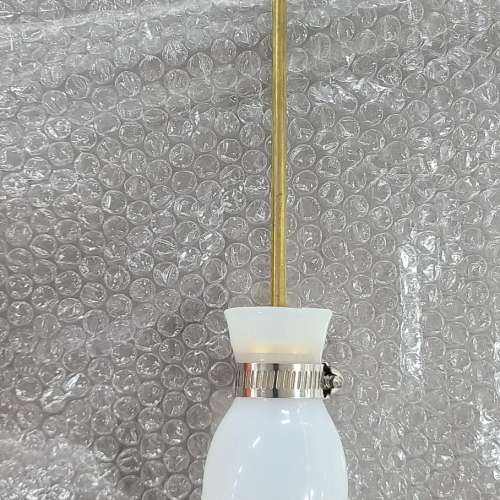美國專治木蝨（床蝨、臭蟲） diatomaceousearth.com 全新2磅裝食品級矽藻土DE粉+DE...