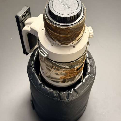 Canon EF 500mm F4 USM