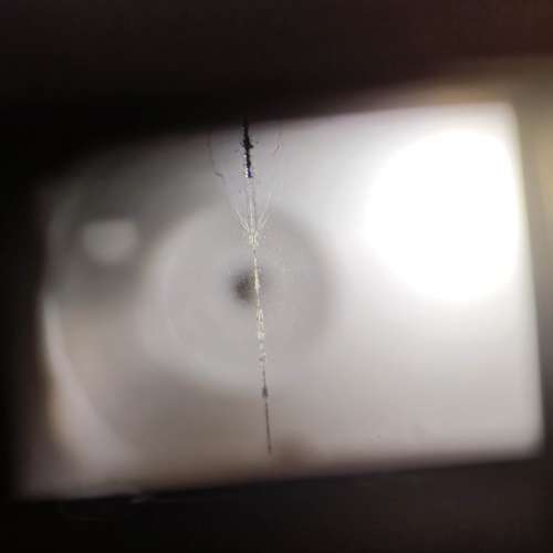 Nikon 大 F 尼康 黑漆 菲林 膠片 film camera 快門運作正常 過片正常 視窗清晰 90%...