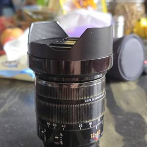 Panasonic M43 H-ES12060 12-60mm/F2.8~4.0