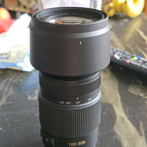 Panasonic M43 H-FS100300 100-300mm/F4.0~5.6