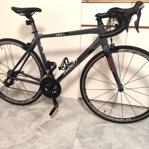 Giant 公路車 | 鋁架碳叉 | SHIMANO 105 套件 22速& ULTEGRA 曲柄 | Campagnolo 輪...