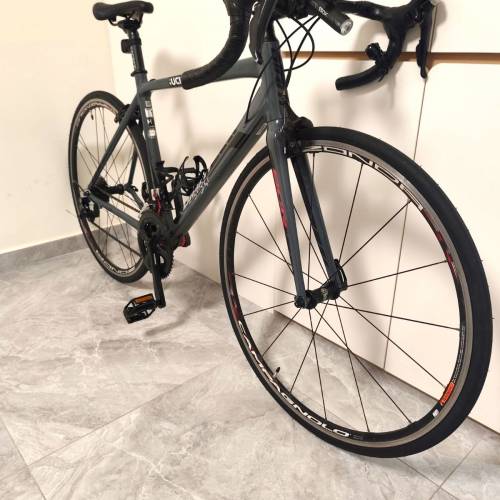 Giant 公路車 | 鋁架碳叉 | SHIMANO 105 套件 22速& ULTEGRA 曲柄 | Campagnolo 輪...