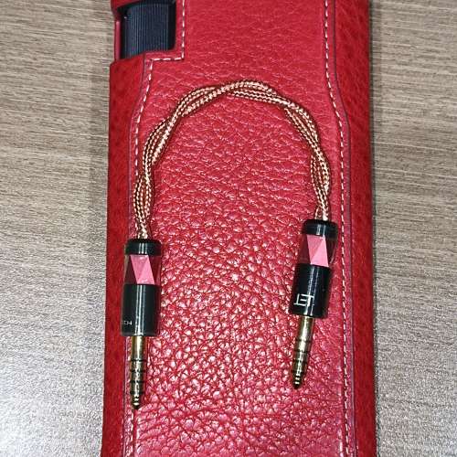 Astell&Kern AK PA10行貨連皮套99%