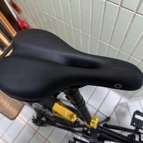 Dahon P8 摺疊單車碟剎 20吋