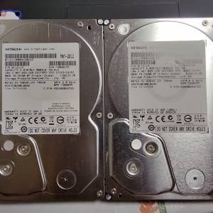 Hitachi HGST 2TB 2隻賣$250