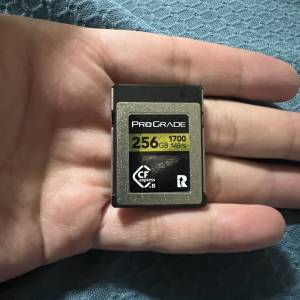 Prograde Digital CFexpress 2.0 Type B 256GB