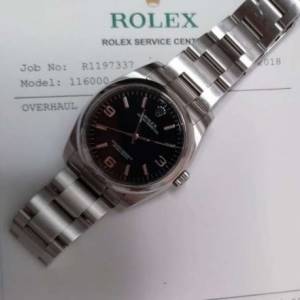 Rolex 勞力士 OP 116000粉色
