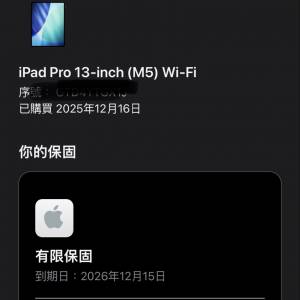 Apple iPad Pro 13-inch (M5) Wi-Fi 256gb 99%新