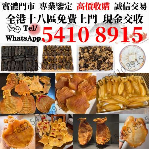 現金回收靚花膠 金錢膠 蜘蛛膠 房膠 白花膠 赤嘴膠 石肚赤嘴 台山赤嘴 紅雞赤嘴 厚...