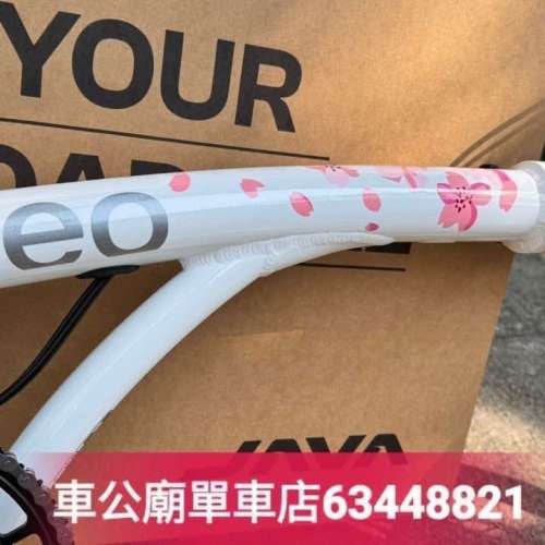 行貨 Java NEO 9速  32T 349機械版 + CARBON FORK 櫻花 🌸🌸！