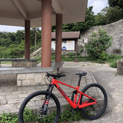 BMC fourstroke 01 29吋碳纖維山地單車