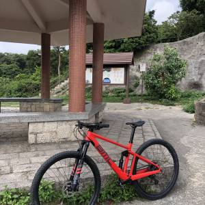 BMC fourstroke 01 29吋碳纖維山地單車