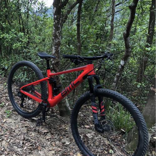 BMC fourstroke 01 29吋碳纖維山地單車