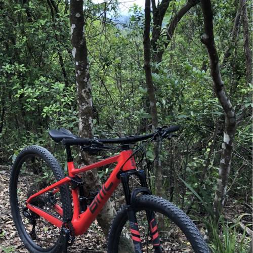 BMC fourstroke 01 29吋碳纖維山地單車