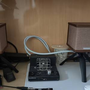 Sound Warrior SWL-T01 + SW-SP2 音響組合